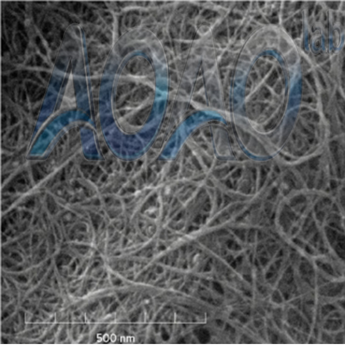 Multi Wall Carbon Nanotube Suppliers.jpg