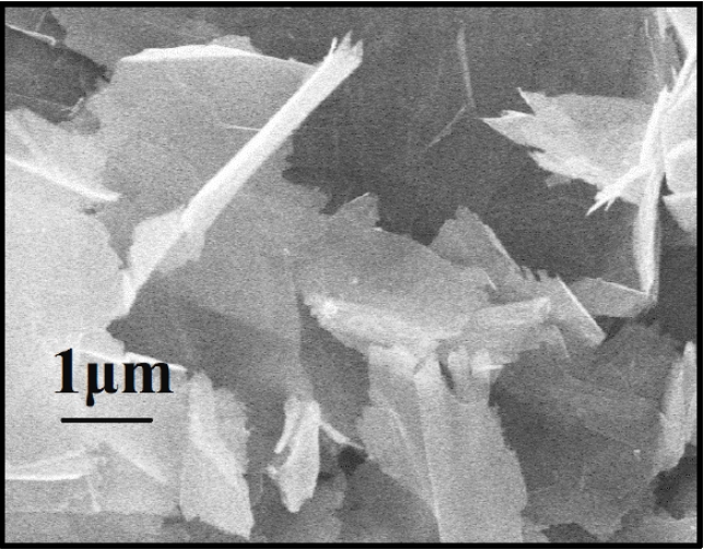 Graphene For Conductive Coatings.jpg