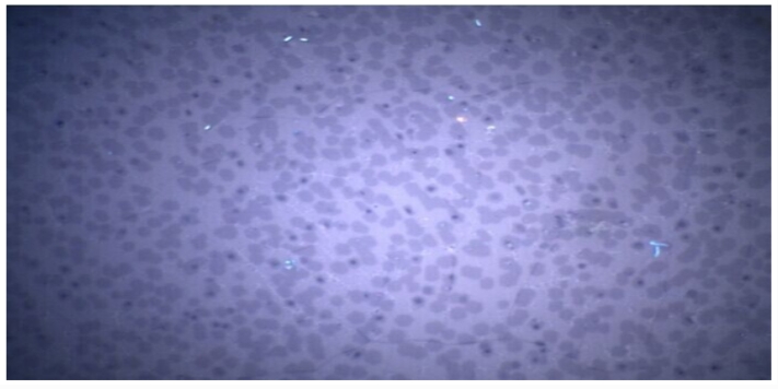 Graphene Conductive Film 510cm.jpg